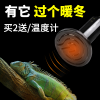 龟箱保温灯乌龟发热灯泡蜥蜴角蛙爬虫加热灯泡陆龟陶瓷灯爬宠温控 默认尺寸 75W陶瓷加热灯
