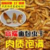 面包虫干粉虫仓鼠龟粮地图罗汉鱼粮龙鱼饲料鱼饲料冻干_616 默认尺寸 冻干面包虫3000ml