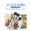 鱼缸过滤材料十合一细菌屋玻璃陶瓷环火山石珊瑚骨活性炭净水滤材 默认尺寸 硝化细菌500ml+水质稳定剂500ml
