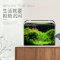 热弯鱼缸免换水懒人生态鱼缸小型水族箱超白玻璃金鱼缸水缸_1 默认尺寸 长50cm热弯超白缸+灯+过滤器+假山景