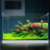 加宽超白玻璃鱼缸客厅小型生态水族箱水缸中型桌面金鱼缸 默认尺寸 金晶超白玻璃HEK-380加宽裸缸（带底膜）