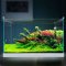 加宽超白玻璃鱼缸客厅小型生态水族箱水缸中型桌面金鱼缸 默认尺寸 金晶超白玻璃HEK-480+灯+过滤器