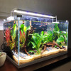 加宽超白玻璃鱼缸客厅小型生态水族箱水缸中型桌面金鱼缸 默认尺寸 金晶超白玻璃HEK-600+灯+过滤器