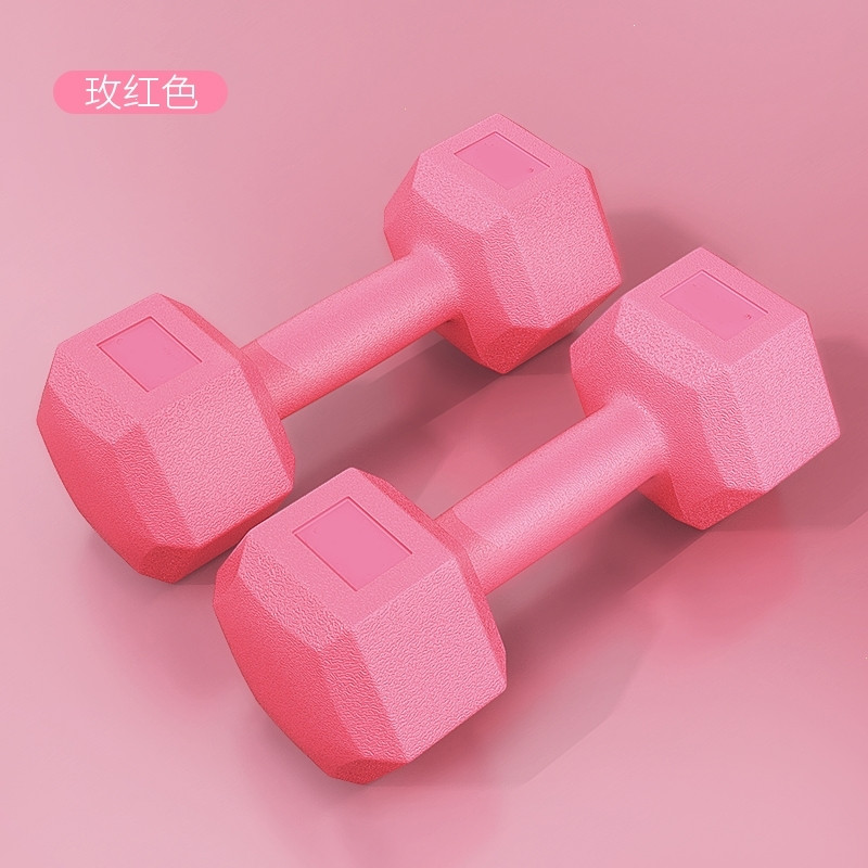哑铃女士一对瘦手臂儿童家用健身器材2/3/4/5kg闪电客初学者小哑铃男士 六角款（玫红色）2kg=1kg*2只