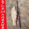 【优先发货】日本原装进口碳素达瓦鱼竿手竿台钓杆超轻硬28调3.6米5.4钓鱼竿 默认尺寸 日本原产5.7米
