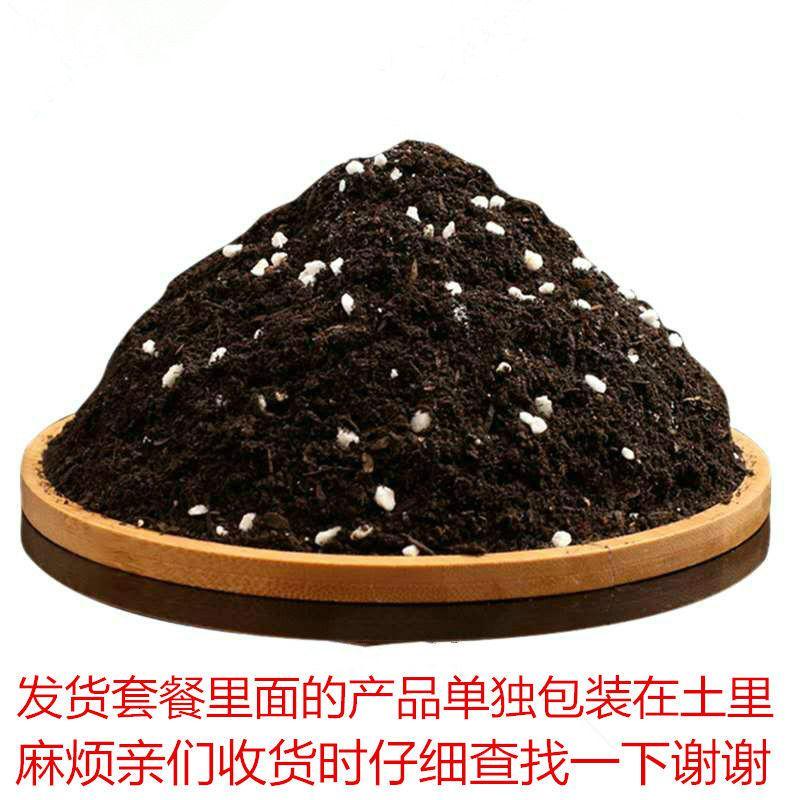 营养土通用土种花种菜土壤花肥料花卉绿萝土多肉土种植土有机花土新品_93 通用营养土9斤+生根粉5包多菌灵5包