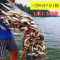 【优先发货】细丝餐鱼网粘网沉网浮网白条1指小鱼网1米高6分7分8分9分三层渔网_743 浮网三层1.3米高8分1指50米长