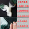 【优先发货】抓小白条鱼网粘网单层沉网浮网细丝6分7分1指1.5指丝网渔网 单层1.5米1指眼50米沉网