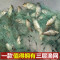 【优先发货】鱼网粘网三层渔网丝网挂网拦河工具渔具沾网粘鱼网网鱼网 4米高7指100米三层沉网