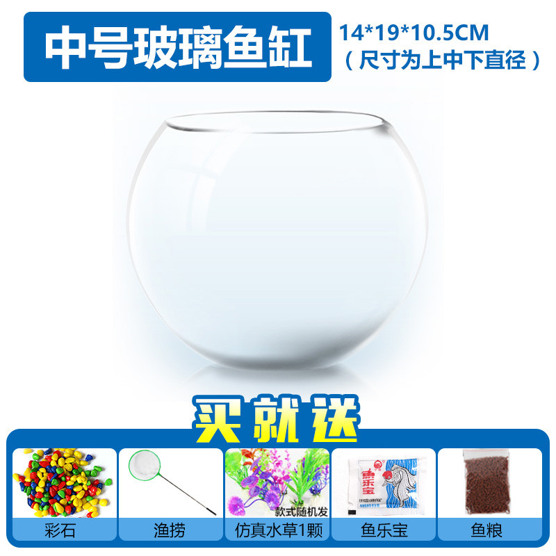 圆形鱼缸玻璃小号金鱼缸迷你圆形创意水族箱生态桌面绿植水培缸_1 默认尺寸 中号鱼缸（拍一送5）