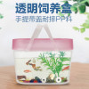 爬虫箱小龟缸塑料宠物饲养盒宠物窝水龟金鱼缸宠物运输盒手提盒_3 默认尺寸 新款大号养龟套餐