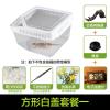 小号饲养箱塑料透明蝎子守宫蜥蜴养殖箱陆龟昆虫鸣虫饲养盒_1_223 默认尺寸 方形白盖套餐一