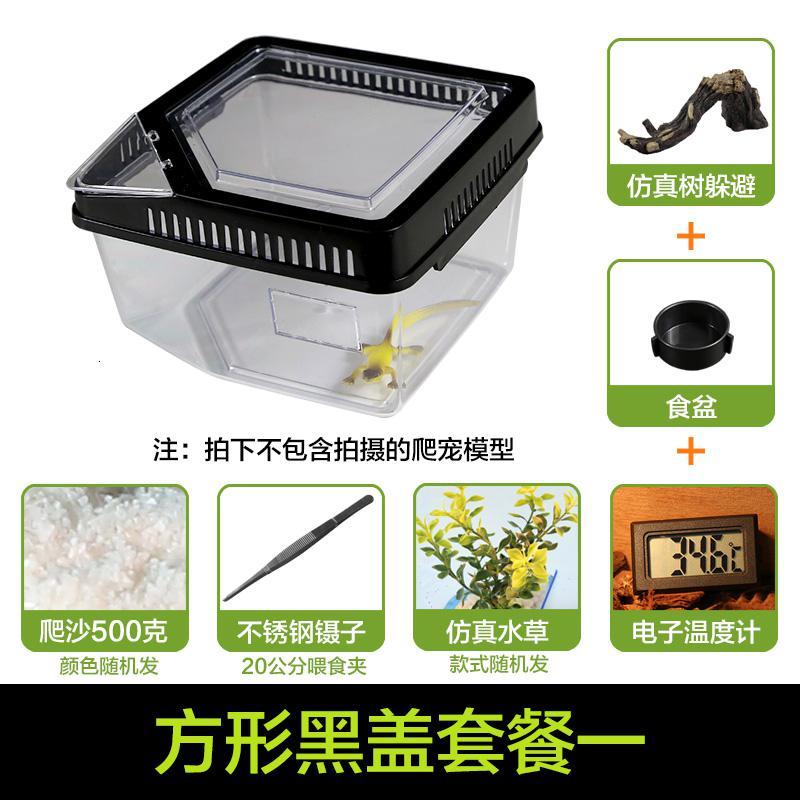 小号饲养箱塑料透明蝎子守宫蜥蜴养殖箱陆龟昆虫鸣虫饲养盒_1_223 默认尺寸 方形黑盖套餐一