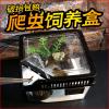 小号饲养箱塑料透明蝎子守宫蜥蜴养殖箱陆龟昆虫鸣虫饲养盒_1_223 默认尺寸 长方形黑盖裸盒