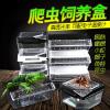 小号饲养箱塑料透明蝎子守宫蜥蜴养殖箱陆龟昆虫鸣虫饲养盒_1_223 默认尺寸 方形黑盖裸盒