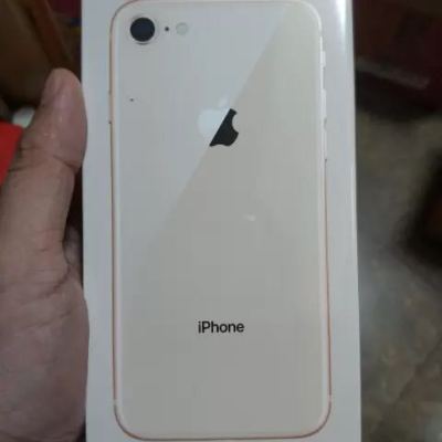 Apple iPhone 8 64GB 金色 移动联通电信4G手机晒单图