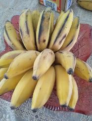 【中华特色】贵州馆 册亨香蕉糯米蕉1.5kg_3斤装 扶贫爱心蕉农家自种县长代言天然水果生鲜晒单图