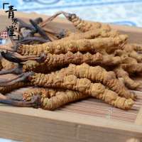 青源堂 冬虫夏草 精选3条/g 20g礼盒装