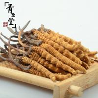 青源堂 冬虫夏草 精选3条/g 5g礼盒装