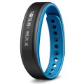 GARMIN 运动健康监测手环 vivosmart（蓝色小号）