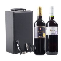 西班牙进口红酒 葡萄酒两瓶礼盒装（德古斯特干红750ml*1+爱肯特斯干红750ml*1）