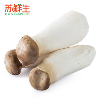 【苏鲜生】本地杏鲍菇400g