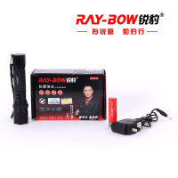 强光手电筒-RB-301