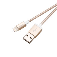 品胜双面USB数据充电线(1000mm)(For Apple)AL06-1000(香槟金)