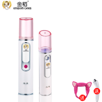 金稻智能纳米补水仪KD77S