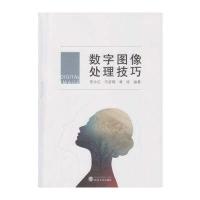 数字图像处理技巧