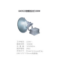 顶火 光明顶系列 1000w 防震型 探照灯 GMD9220 （个）
