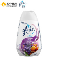佳丽 清香空间 薰衣草桃花170g 消臭力 消臭剂 除臭剂 芳香剂空气清新剂空气清香剂车载香水汽车香水