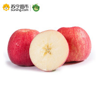 展卉 甘肃静宁苹果 4个装 单果重量约220g-250g 新鲜水果