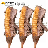 青源堂 冬虫夏草 0.7克/条 10条装7克 新鲜冬虫夏草正品 可泡酒泡水