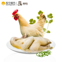 雉鲜生(Free Range Chicken) 农家散养鸡 走地鸡 800g/只 桂皇鸡 1只装