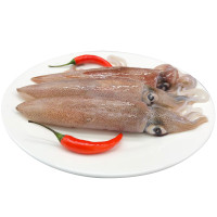 沈志雄 东山岛海鲜小管鱿鱼笔管鱼海兔子部分满籽带膏5-7个/盒净重400克共1盒 下单2份更实惠