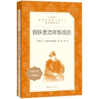 钢铁是怎样炼成的