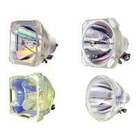 成越全新3M EL36X-W原装投影机灯泡投影仪灯泡