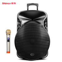 新科（Shinco）H319 18英寸户外拉杆音箱便携式蓝牙音响 单话筒