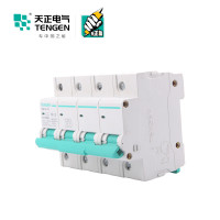 天正电气 空气开关 TGB1N-125 4P C 100A 6kA 01060280043微型断路器