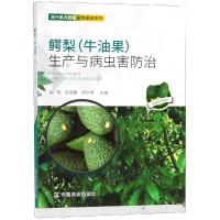 鳄梨(牛油果)生产与病虫害防治