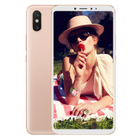 小米Max3 6GB+128GB 金色 全网通4G手机