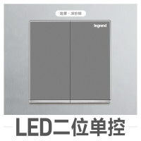 TCL罗格朗(Legrand)开关插座面板逸景深砂银5五孔二三插三孔16A空调USB墙壁电源86型暗装电源插座 二开单控带LED 逸景深砂银