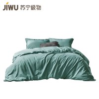 苏宁极物 暖绒磨毛四件套舒适透气床单被套床上用品 浅绿色 200*230m