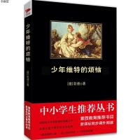 中小学生必读丛书：少年维特的烦恼