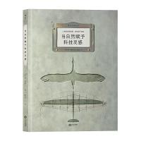 当自然赐予科技灵感