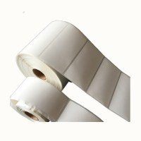 熹辰 XICHEN 挂测标签 110mm*45mm QX-11045 250片/卷