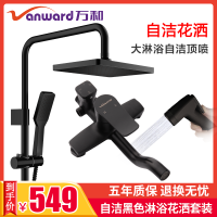 万和卫浴 淋浴花洒套装家用精铜龙头淋浴器浴室淋雨花洒喷头 V-A4002-FH万和四功能明杆花洒
