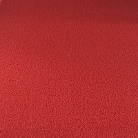 塑料地毯毯入户地垫店脚垫垫进蹭土丝圈家用pvc加厚_7 整卷（120*180） 红色