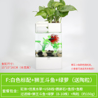 水培植物养鱼缸一体家用塑料创意懒人小型免换水桌面斗鱼专用客厅_1 默认尺寸 白色标配+绿萝+狮王斗鱼